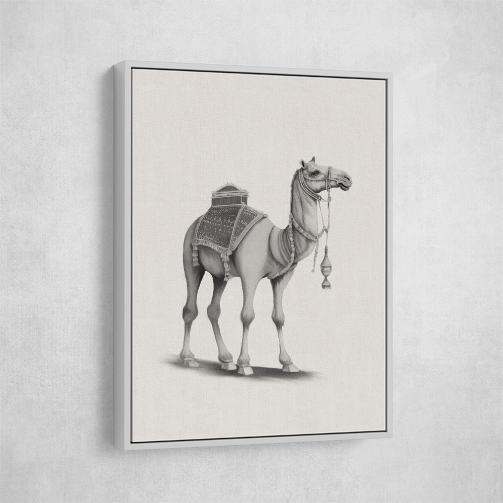 Graphic Camel Wall Art